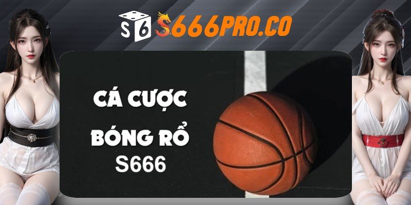 Thông tin cơ bản về cá cược bóng rổ S666 Thông tin cơ bản về cá cược bóng rổ S666