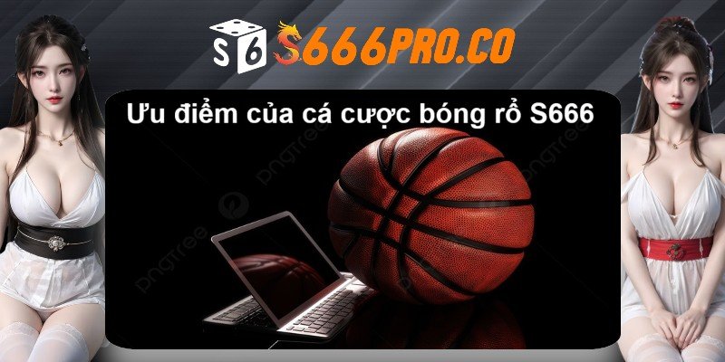 Cá cược bóng rổ S666 có ưu điểm gì? Cá cược bóng rổ S666 có ưu điểm gì?