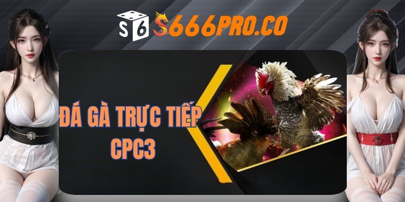 Thông tin về bộ môn đá gà trực tiếp CPC3 hấp dẫn Thông tin về bộ môn đá gà trực tiếp CPC3 hấp dẫn