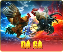 sảnh đá gà s666pro.co