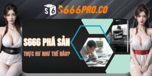 Thông tin về sự việc nhà cái S666 phá sản
