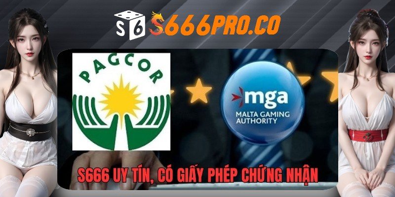 Bằng chứng thể hiện sự uy tín của thương hiệu S666 Bằng chứng thể hiện sự uy tín của thương hiệu S666